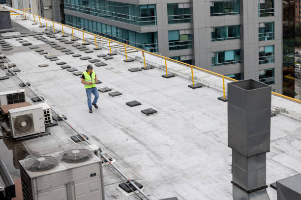 Best Roof Coating and Sealing  in Weedpatch, CA